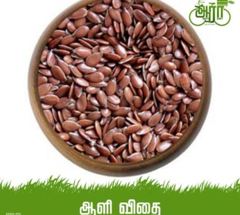 Flax Seeds- Aali Vithai -ஆளி விதை