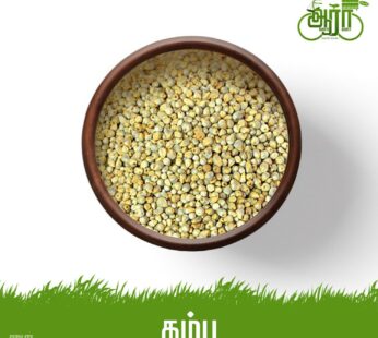 Pearl Millet – Kambu – கம்பு