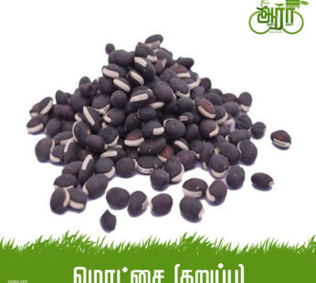Black Field Beans- Black Mochai –  கருப்பு மொச்சை