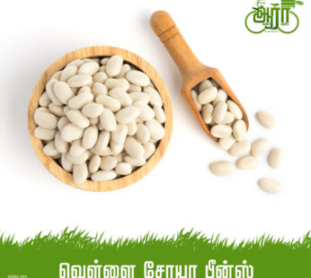 White Soya Bean-Vellai Choya -வெள்ளை சோயா பீன்ஸ்