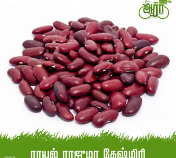 Red Soya Bean- Choya -Rajma -சிவப்பு சோயா ராஜ்மா