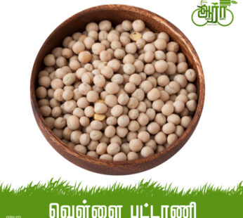 Vella Pattani-Dried White Peas-காய்ந்த வெள்ளை பட்டாணி
