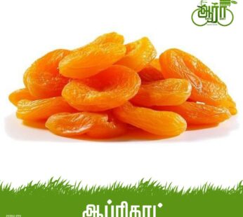 Dry Apricot- ட்ரை ஆப்ரிகாட்- உலர் ஆப்ரிகாட் பழம்