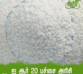 Pacharisi IR 20-Raw Rice-Arisi- ஐ ஆர் 20 பச்சரிசி