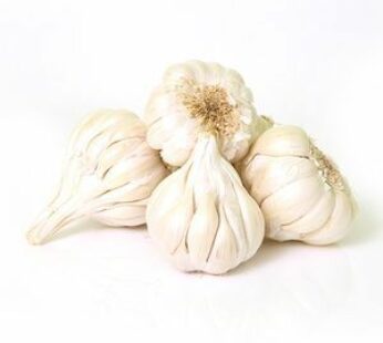Nattu Poondu – Garlic – Poodu -நாட்டு பூண்டு – பூடு