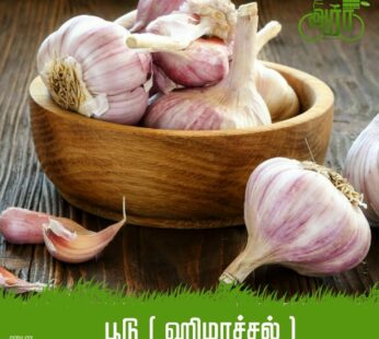 Himachal Poodu – Poondu – Garlic – பூடு ஹிமாச்சல் – பூண்டு