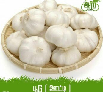 Poodu Ooty -Poondu -Garlic – பூடு ஊட்டி – பூண்டு