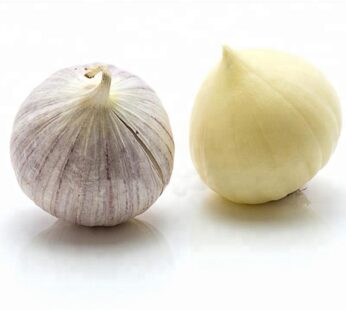 Himachal Single Clove Garlic [Solo Garlic] – Himalayan Single Clove -Himachal Otha Poondu – ஹிமாலயன்/இமாச்சல் ஒத்த பூண்டு – ஒற்றைப்பல் பூண்டு [ஒரு பல் பூண்டு]