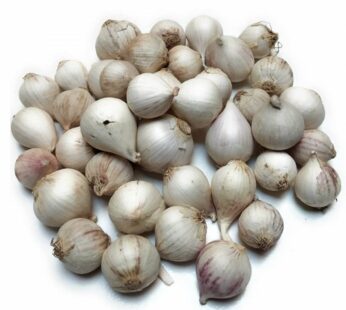 Ooty Otha Poondu – Poodu -Single Clove Garlic [Solo Garlic] – ஊட்டி ஒத்த பூண்டு- பூடு – ஒற்றைப்பல் பூண்டு [ஒரு பல் பூண்டு]