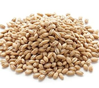 Barley Rice – Arisi -பார்லி அரிசி